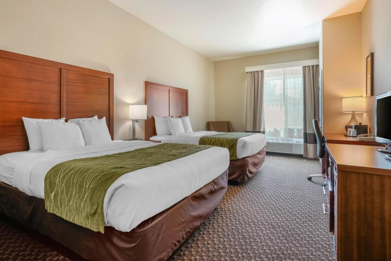Queen Room with Two Queen Beds - Non-Smoking at Comfort Inn & Suites Galt - Lodi North