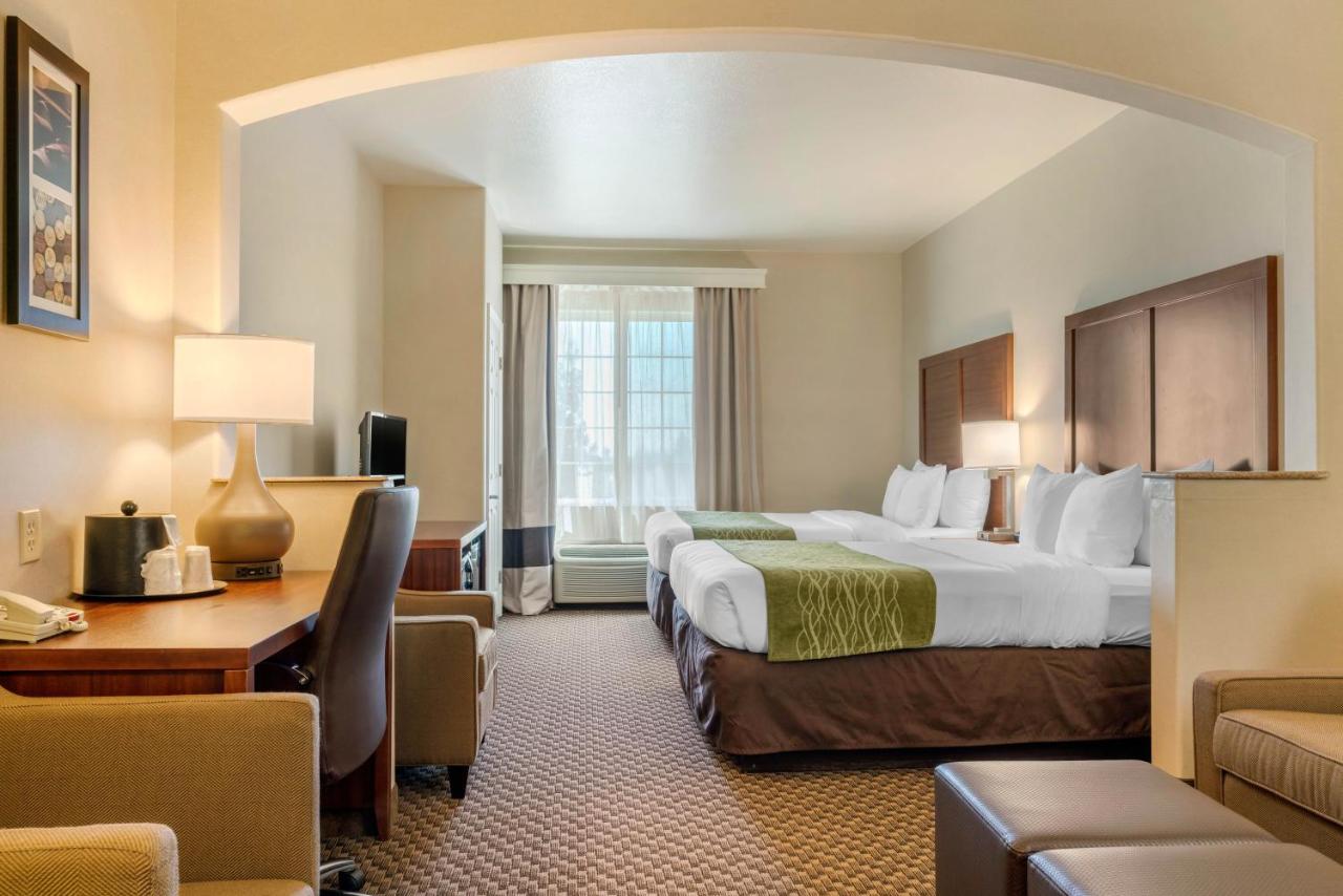 Queen Suite with Two Queen Beds - Non-Smoking at Comfort Inn & Suites Galt - Lodi North