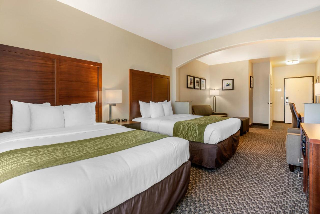 Queen Suite with Two Queen Beds - Non-Smoking at Comfort Inn & Suites Galt - Lodi North