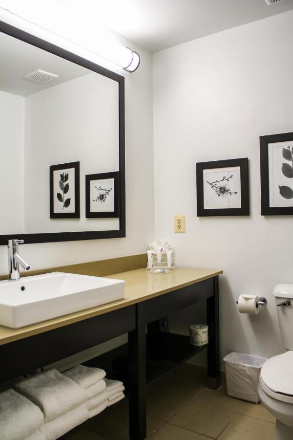 King Room - Disability Access/Non-Smoking at Country Inn & Suites by Radisson, Washington Dulles International Airport, VA