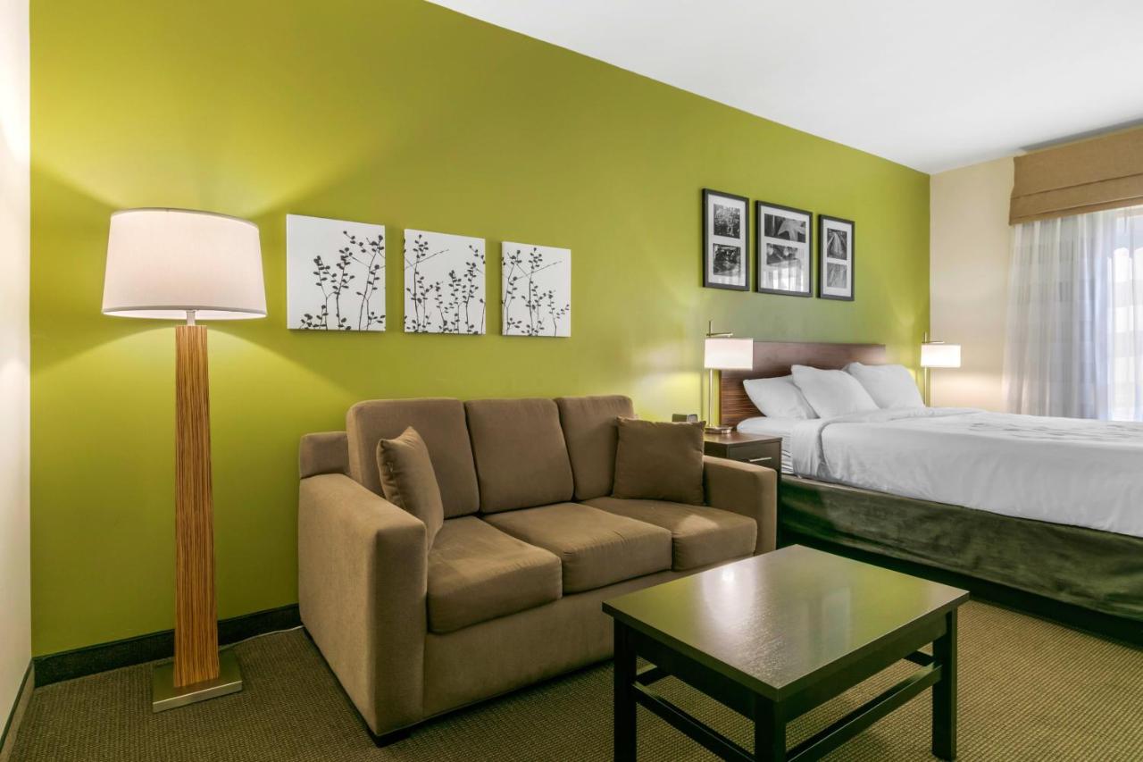 King Suite with Sofa Bed - Non-Smoking at Sleep Inn & Suites Columbia I-65