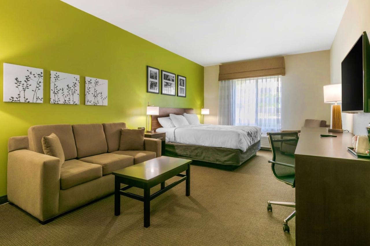 King Suite with Sofa Bed - Non-Smoking at Sleep Inn & Suites Columbia I-65