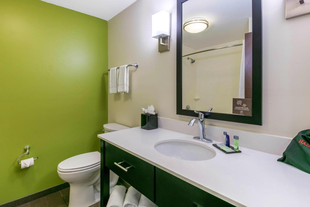 King Suite with Sofa Bed - Non-Smoking at Sleep Inn & Suites Columbia I-65