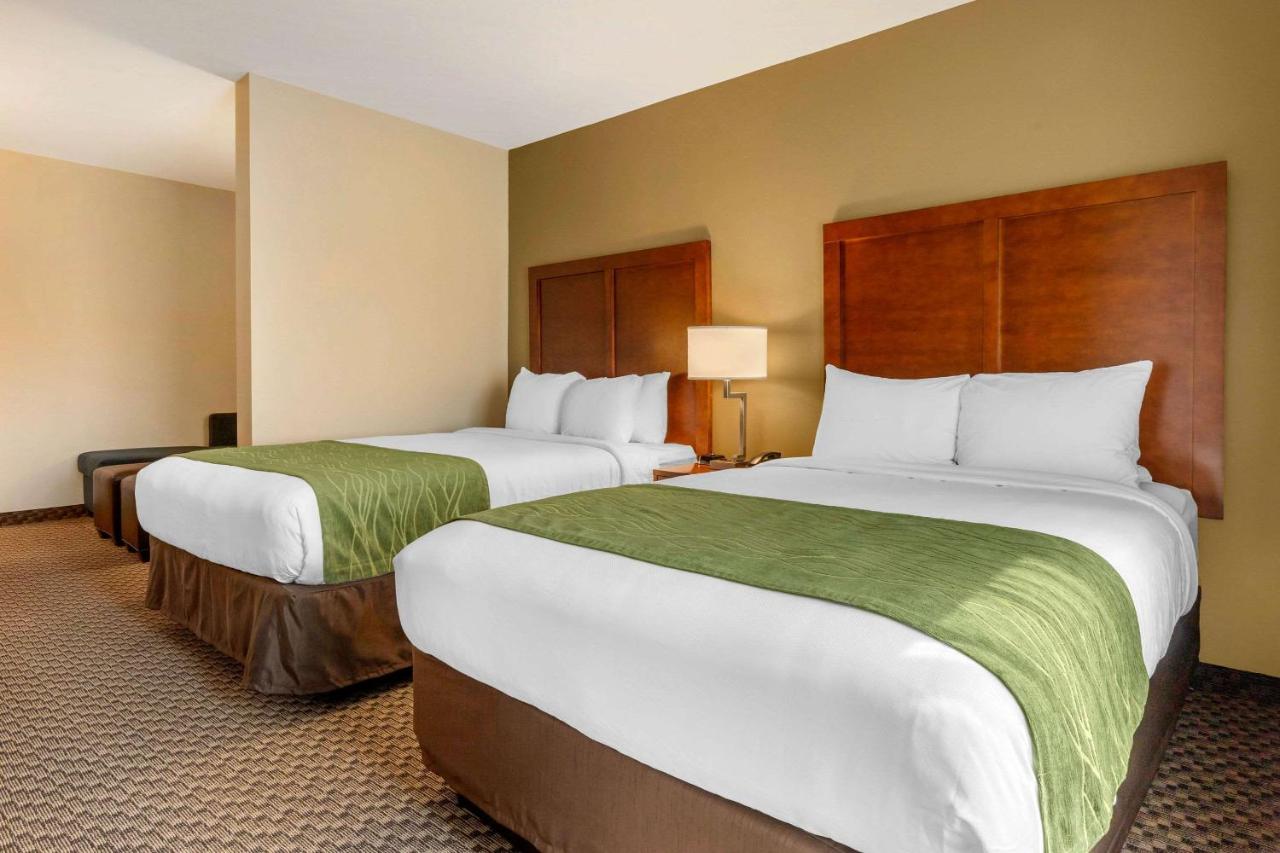 Queen Suite with Two Queen Beds - Non-Smoking at Comfort Inn & Suites Hadley - Amherst