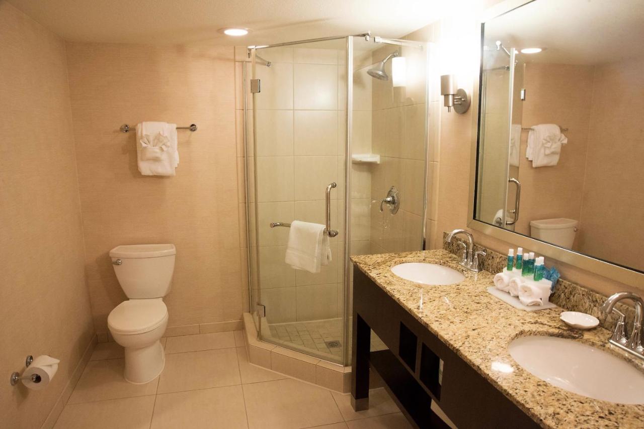 King Suite - Non-Smoking at Holiday Inn Express Baltimore-BWI Airport West by IHG