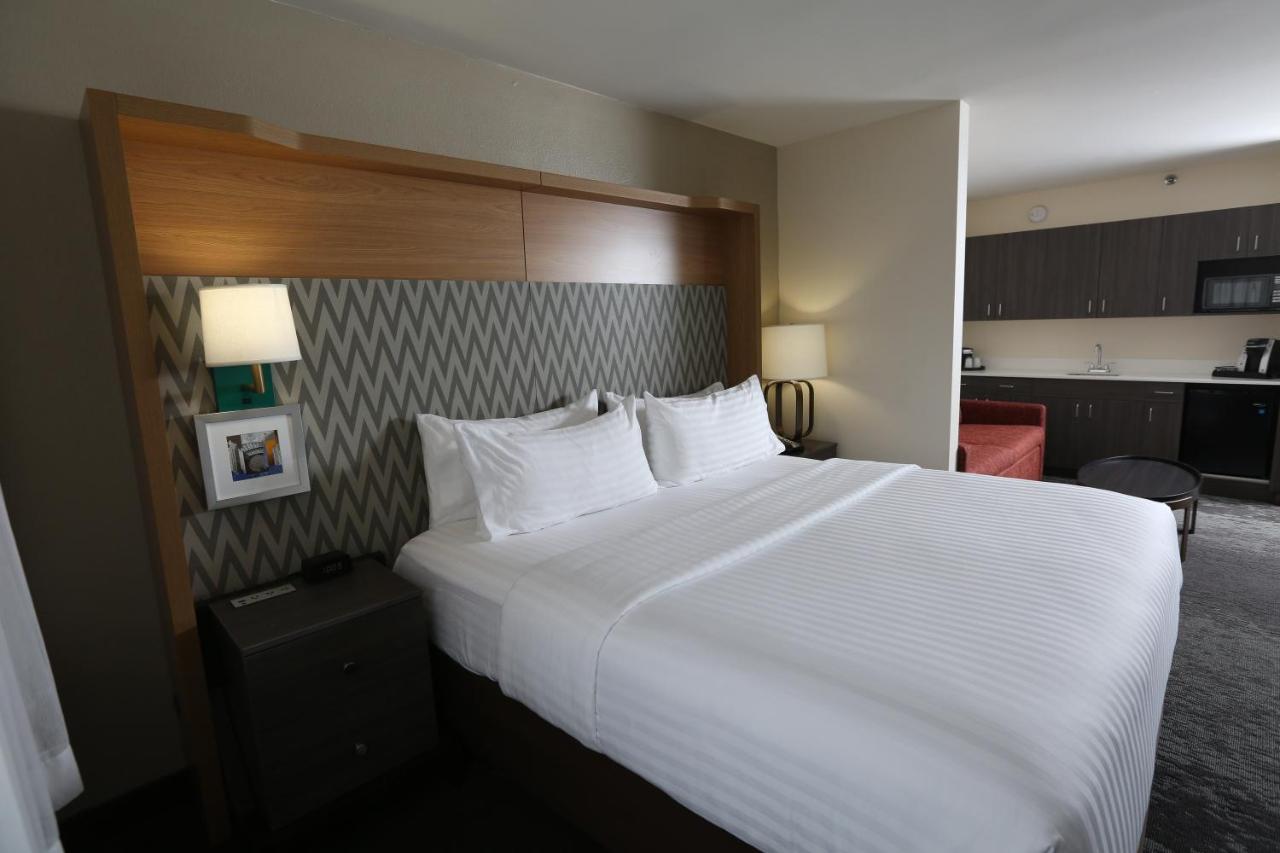 Studio King Suite - Non-Smoking at Holiday Inn Chicago North Shore, an IHG Hotel