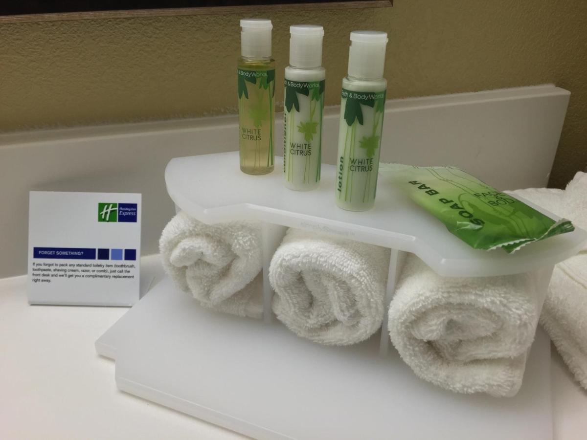 King room - Disability Access Hearing Accessible at Holiday Inn Express Chicago NW - Arlington Heights by IHG