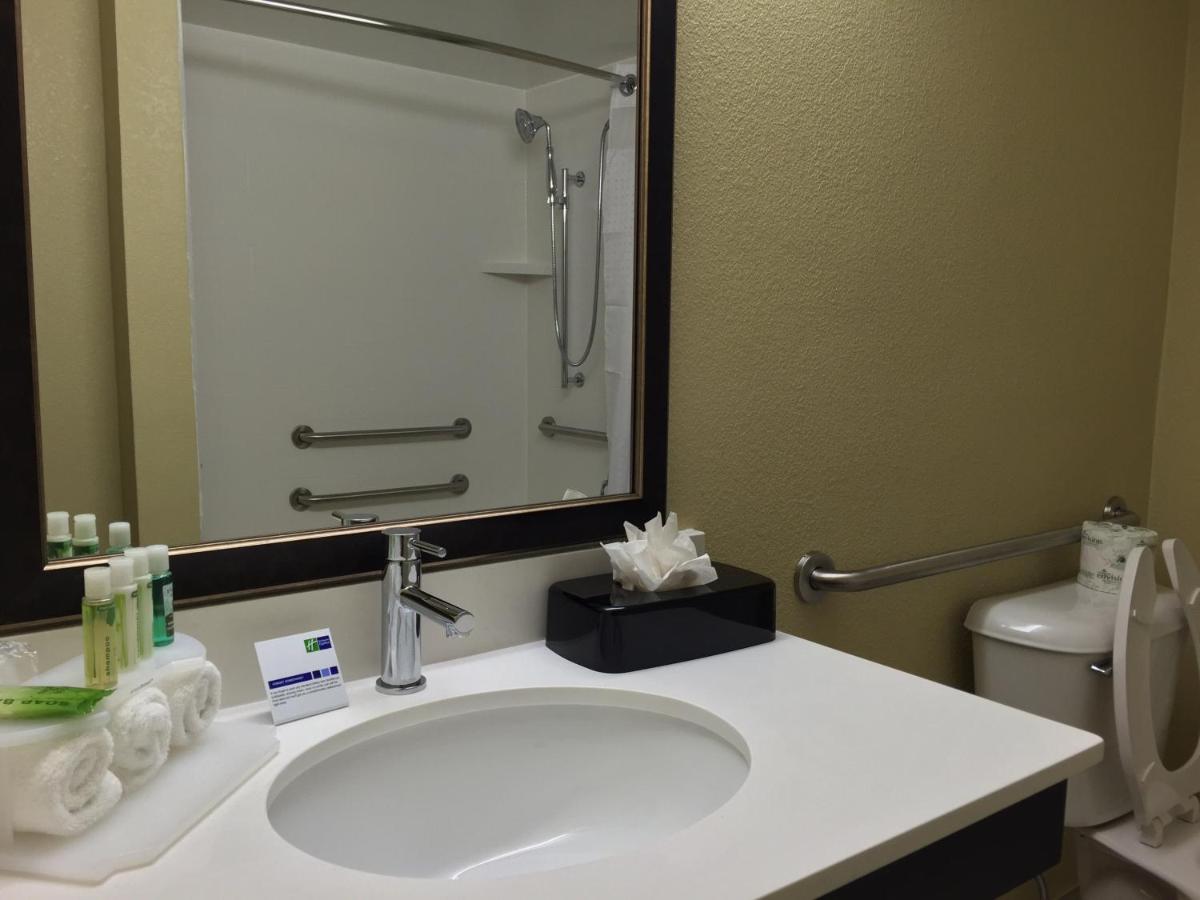 Suite - Disability Access at Holiday Inn Express Chicago NW - Arlington Heights by IHG