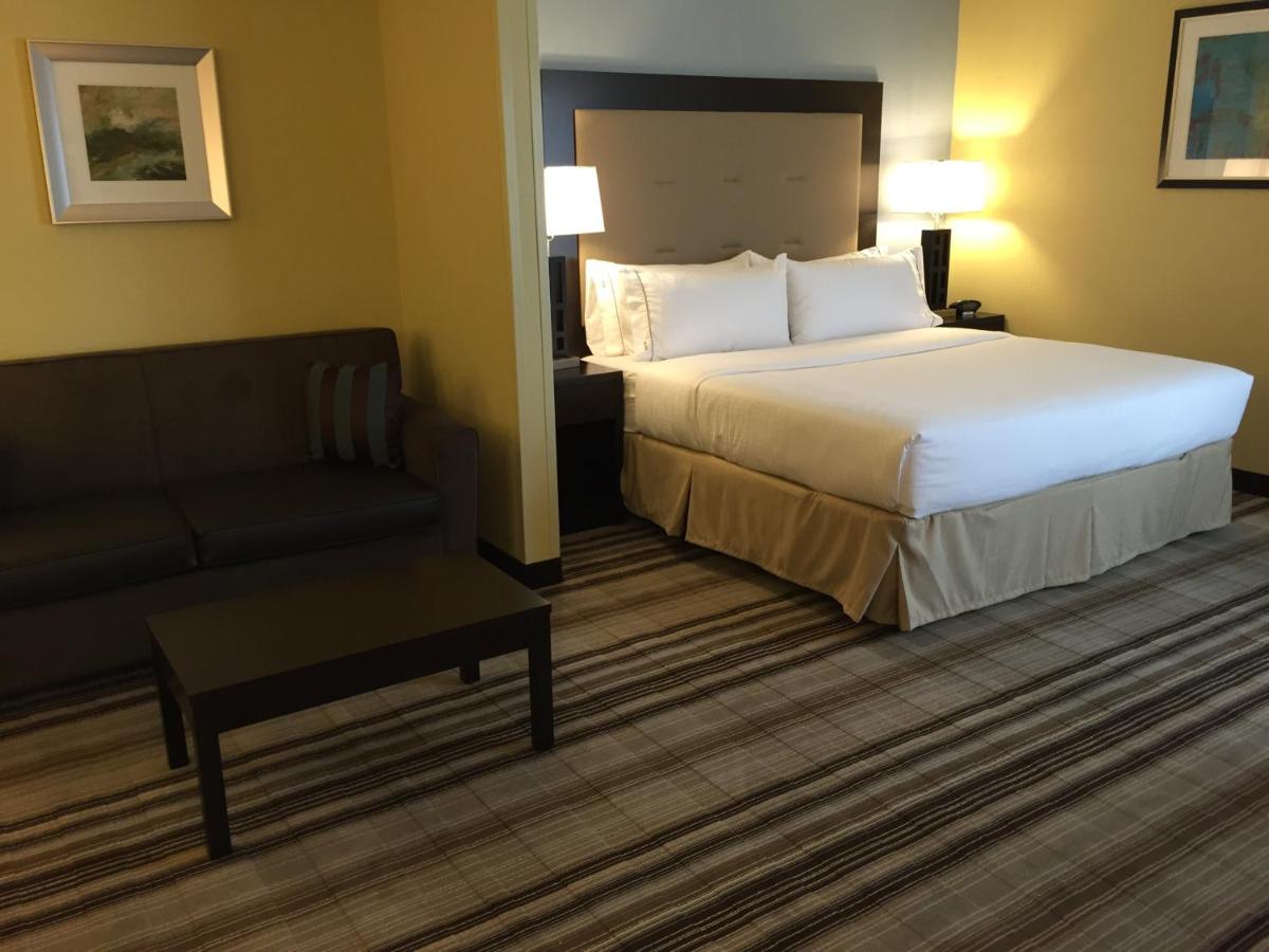 Suite - Disability Access at Holiday Inn Express Chicago NW - Arlington Heights by IHG