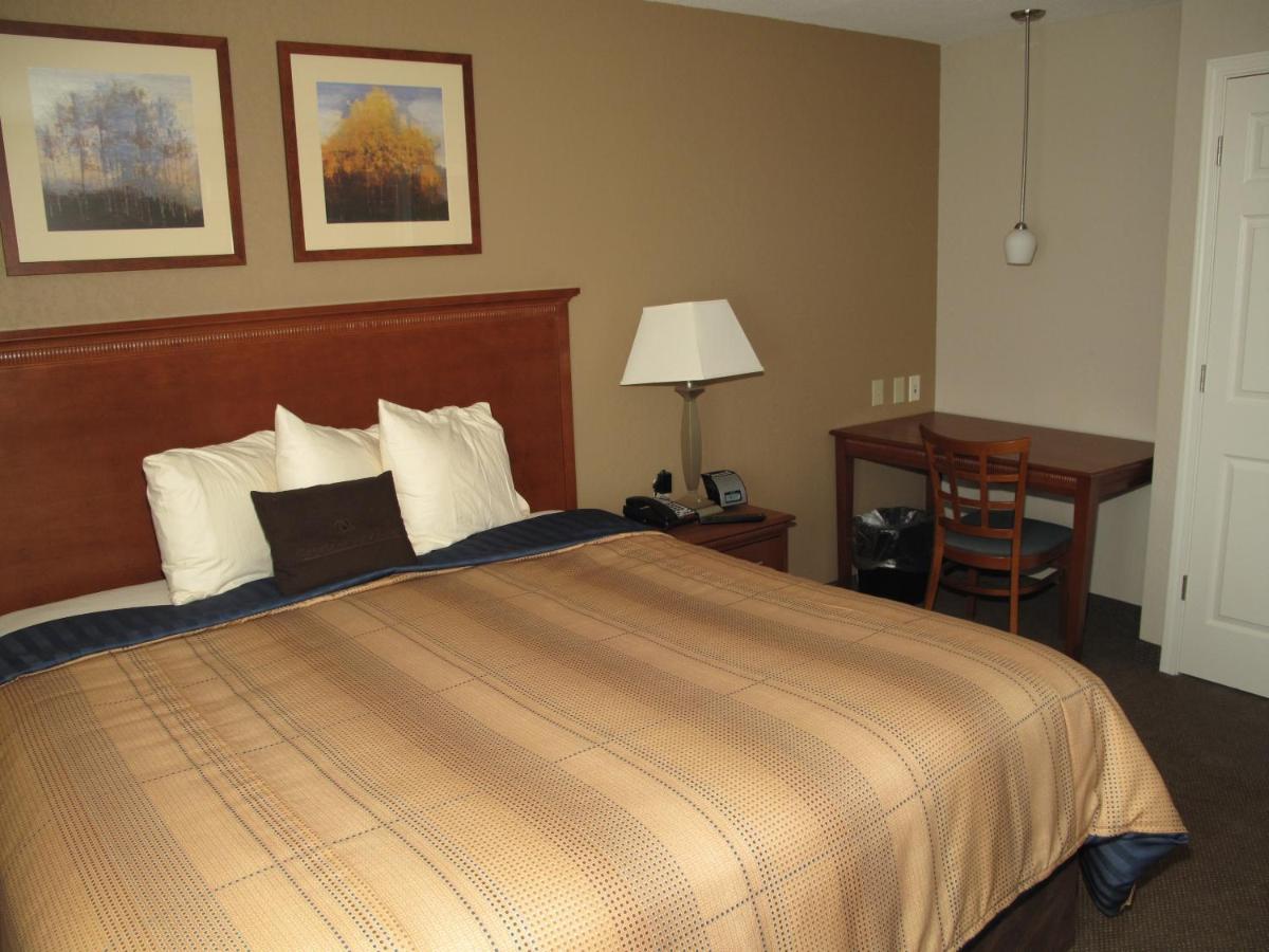King Studio at Candlewood Suites Elgin, an IHG Hotel