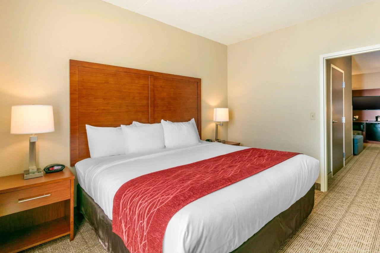 King Suite with Sofa Bed - Accessible/Non-Smoking at Comfort Inn & Suites Nashville Franklin Cool Springs
