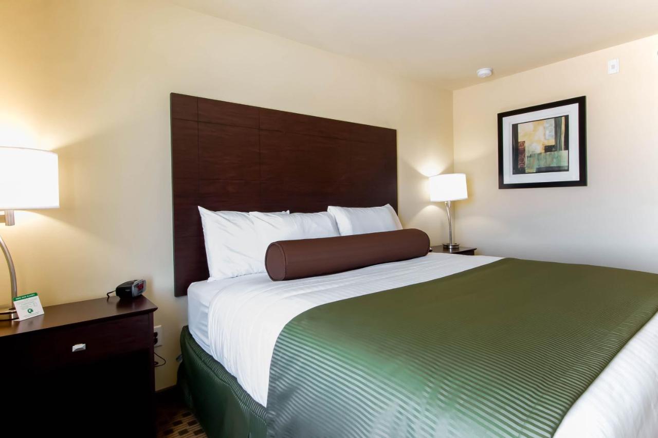 King Room at Cobblestone Inn & Suites - Eads