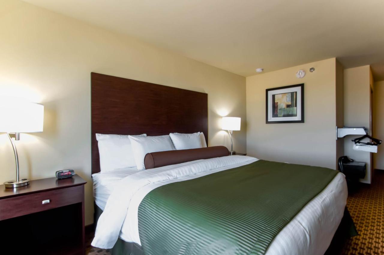 King Room - Disability Access at Cobblestone Inn & Suites - Eads