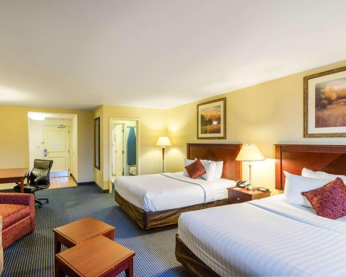 Queen Suite with Two Queen Beds - Non-Smoking at MainStay Suites Dover