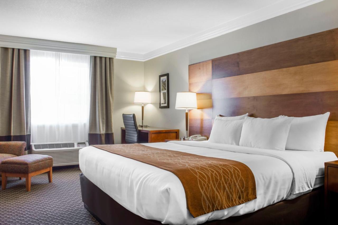Room #5647110 at Comfort Inn & Suites Durango
