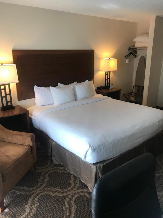 King Room with Sofa Bed at Ashmore Inn and Suites