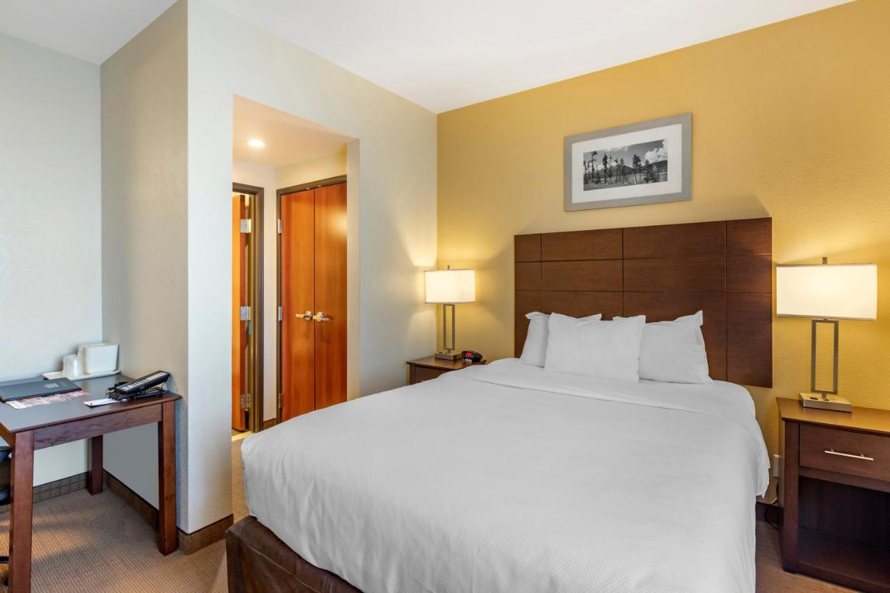 Queen Suite with Sofa Bed - Non-Smoking at MainStay Suites Near Denver Downtown
