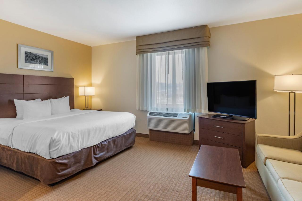 King Suite with Sofa Bed at MainStay Suites Near Denver Downtown