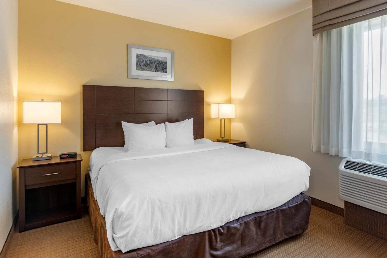 King Suite with Sofa Bed at MainStay Suites Near Denver Downtown