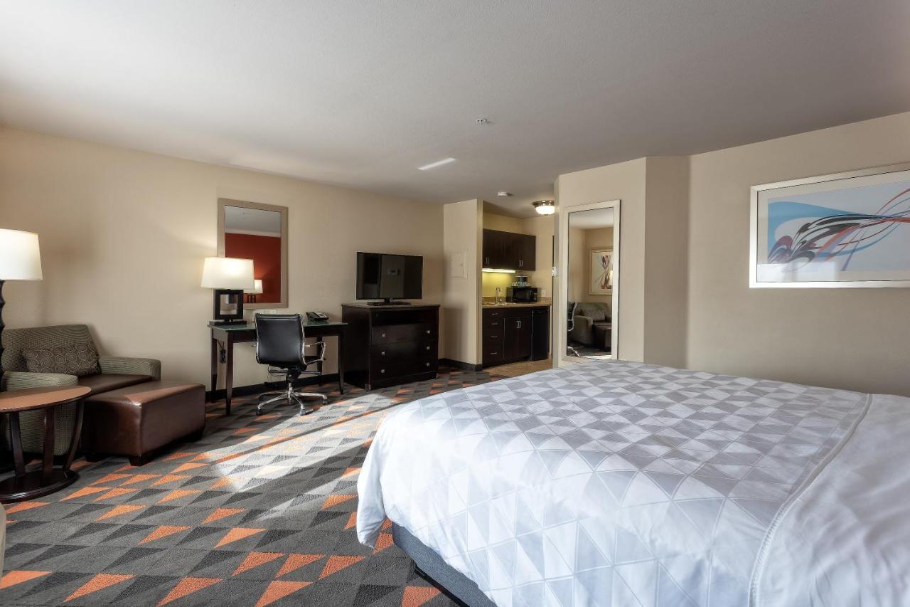 Executive King Room - Non-Smoking at Holiday Inn Oceanside Camp Pendleton Area, an IHG Hotel