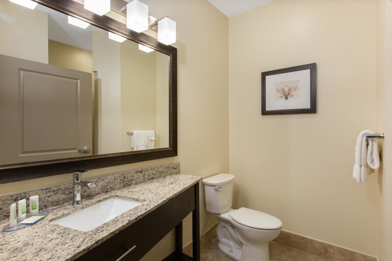 Business King Room - Non-Smoking at AmericInn by Wyndham Sioux Falls North