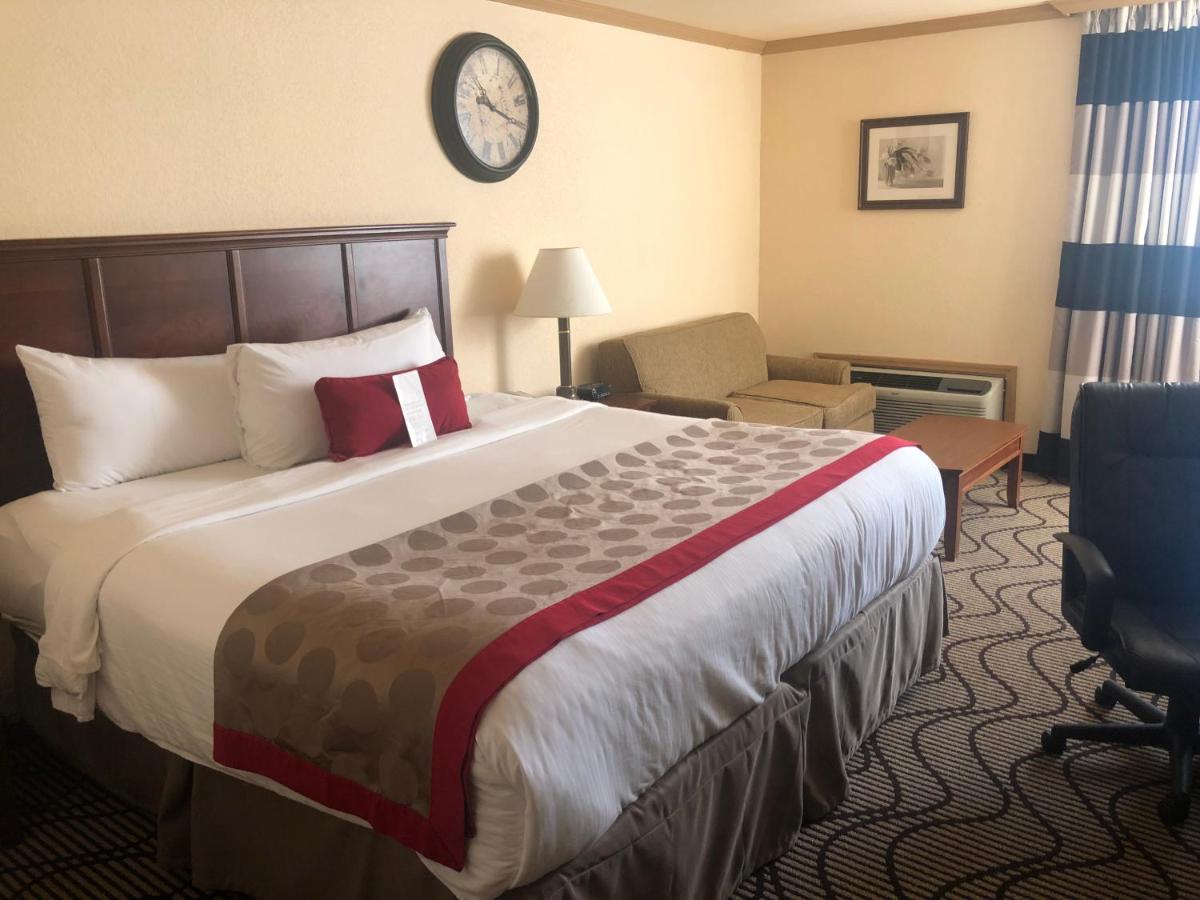 King Studio Suite- Non-Smoking at Ramada by Wyndham Birmingham Airport