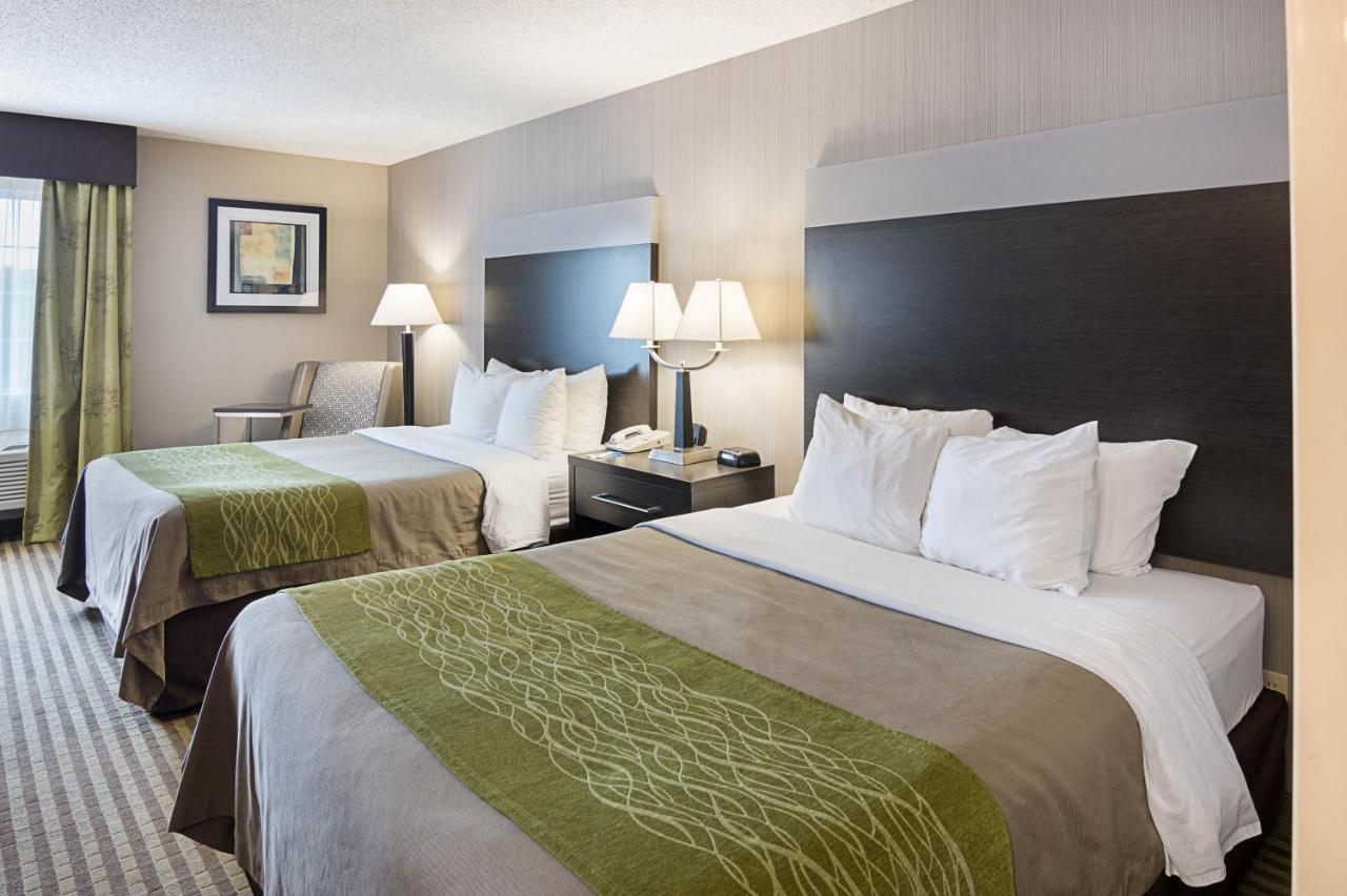 Standard Queen Room with Two Queen Beds Non-Smoking at Comfort Inn Camden