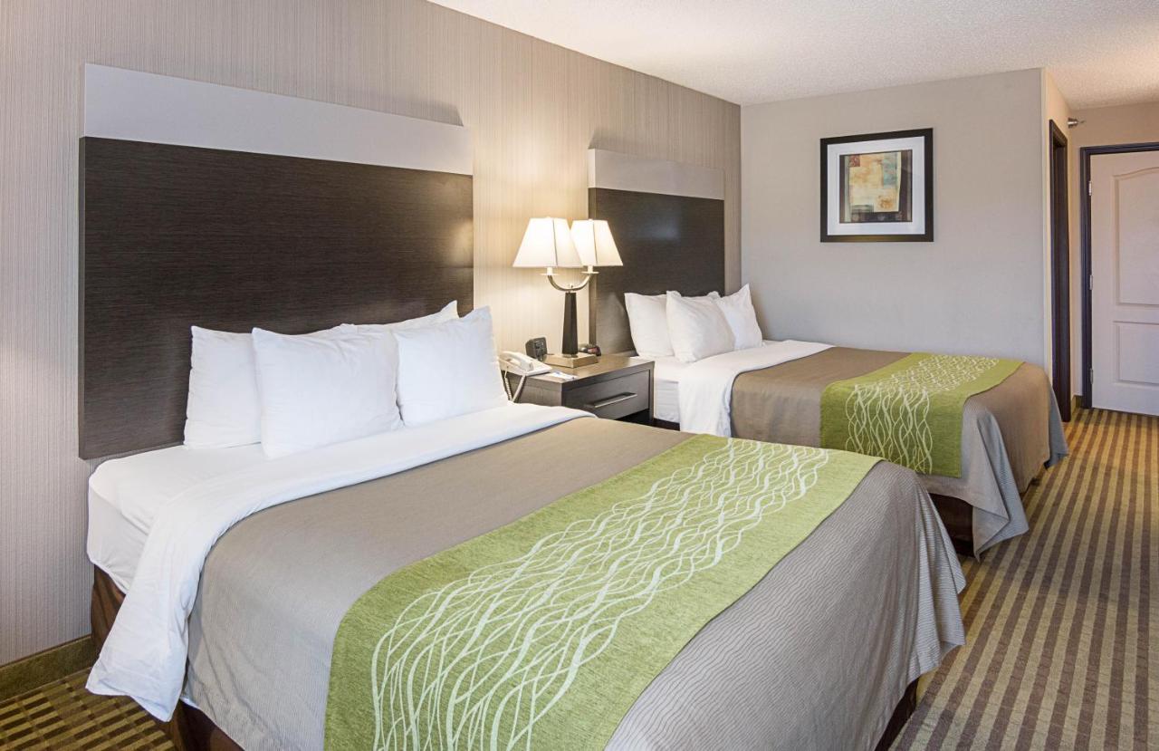 Standard Queen Room with Two Queen Beds Non-Smoking at Comfort Inn Camden