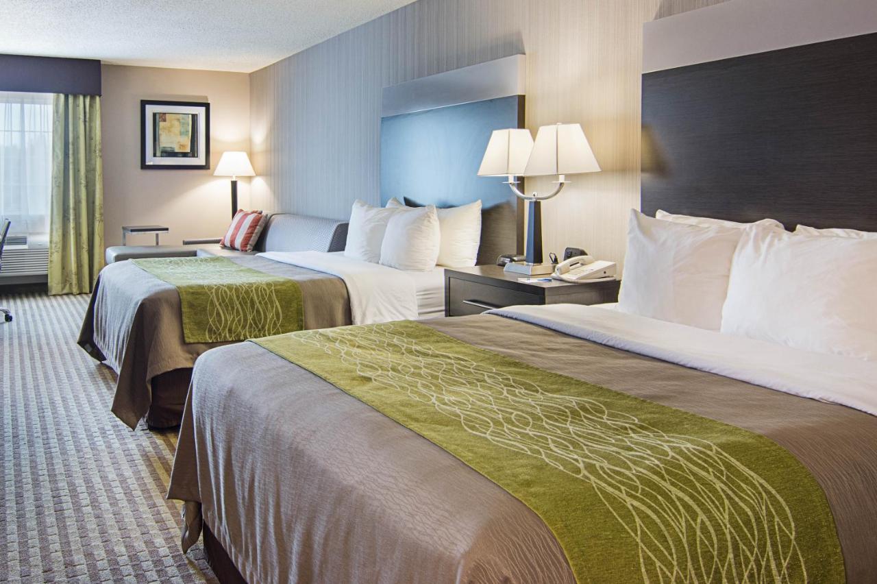 Standard Queen Room with Two Queen Beds Non-Smoking at Comfort Inn Camden