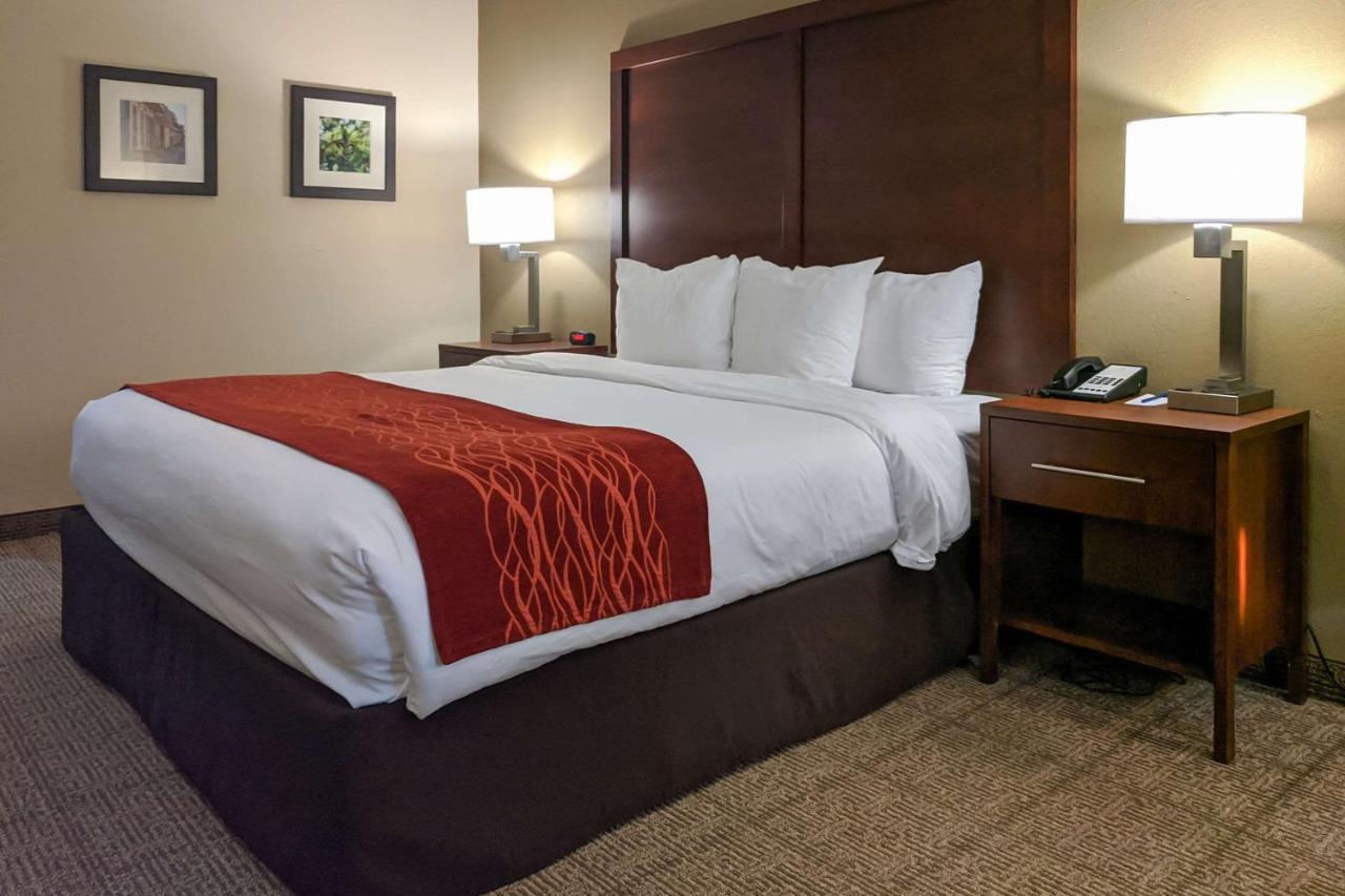 King Room - Non-Smoking at Comfort Inn Marrero - New Orleans West