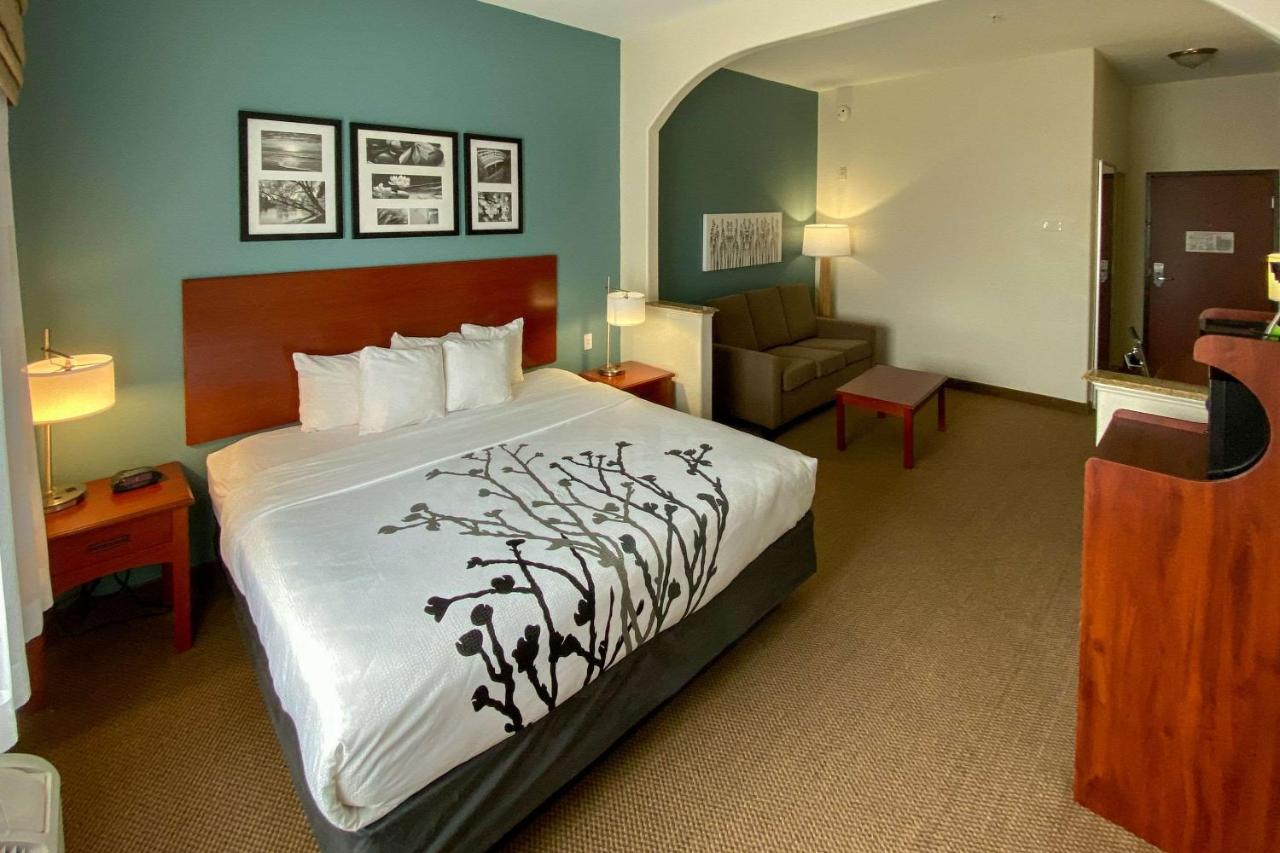 Deluxe King Suite with Sofa Bed at Sleep Inn And Suites Pearland - Houston South