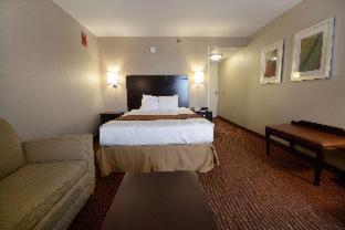Room #32821112 at Best Western Executive Hotel Of New Haven - West Haven