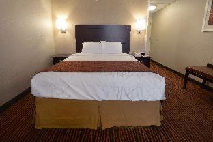 Room #32821112 at Best Western Executive Hotel Of New Haven - West Haven
