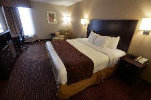 Room #32821113 at Best Western Executive Hotel Of New Haven - West Haven