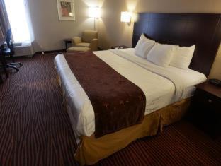 Room #32821113 at Best Western Executive Hotel Of New Haven - West Haven