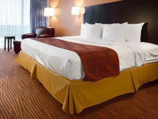 Room #32821113 at Best Western Executive Hotel Of New Haven - West Haven