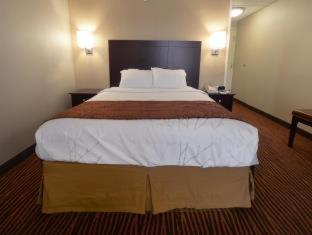 Room #32821114 at Best Western Executive Hotel Of New Haven - West Haven