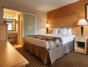 Room #54889913 at Best Western Palm Court Inn