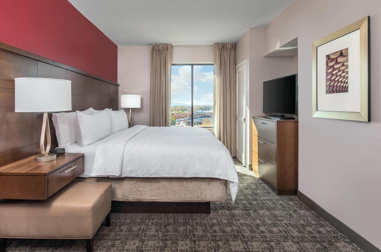 King Room - Accessible Roll - In Shower, Full Kitchen, Sofa Bed at Staybridge Suites Charlottesville Airport by IHG
