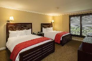 Room #33309219 at Cupertino Hotel