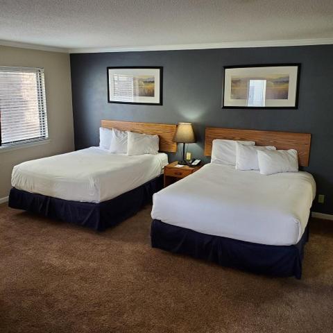 Queen Studio with Two Queen Beds and Sofabed at Sterling Hotel and Suites
