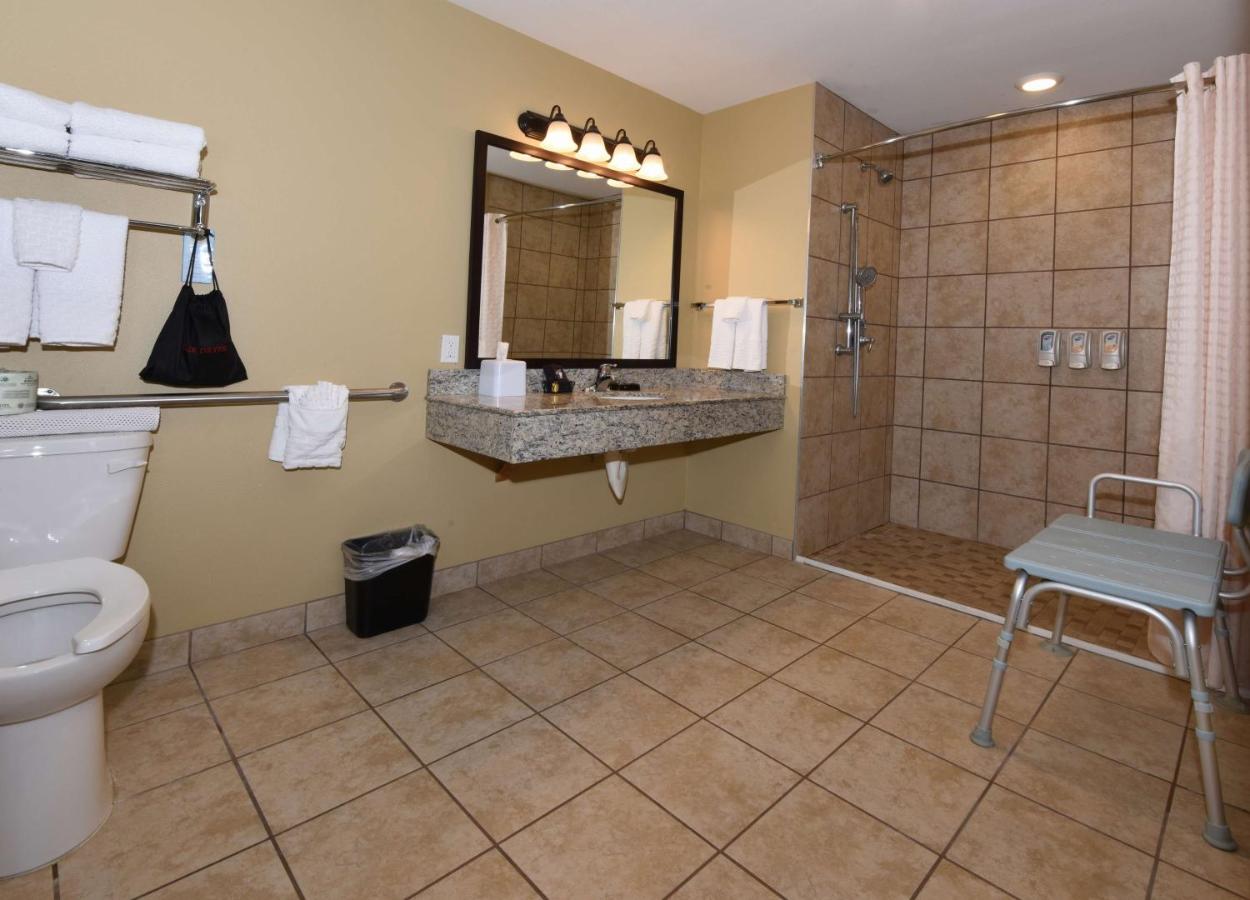 King Room with Roll-In Shower - Disability Access at Best Western Plus Vintage Valley Inn