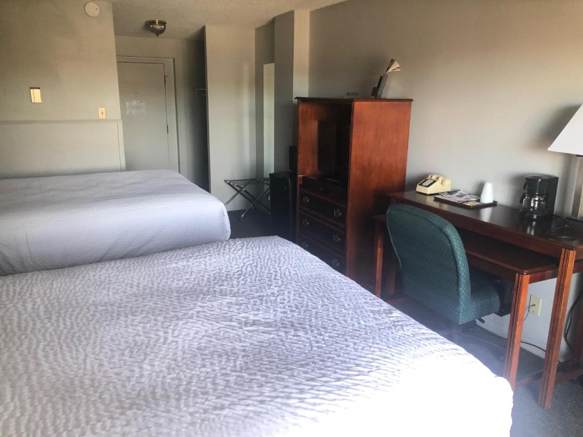 Queen Room - Disability Access at Satellite Hotel