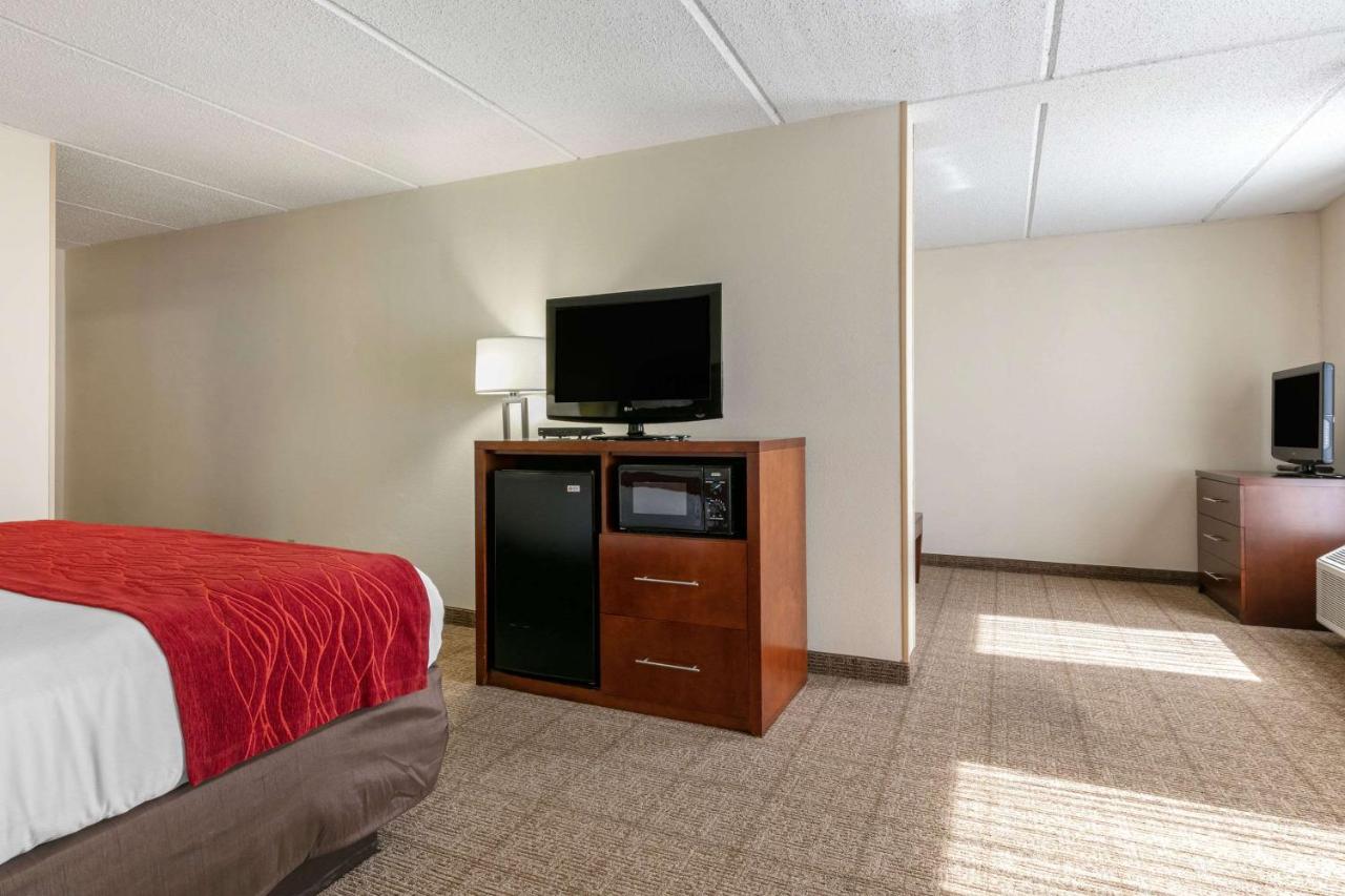 King Suite with Sofa Bed - Non-Smoking at Comfort Inn Chattanooga Downtown Southside