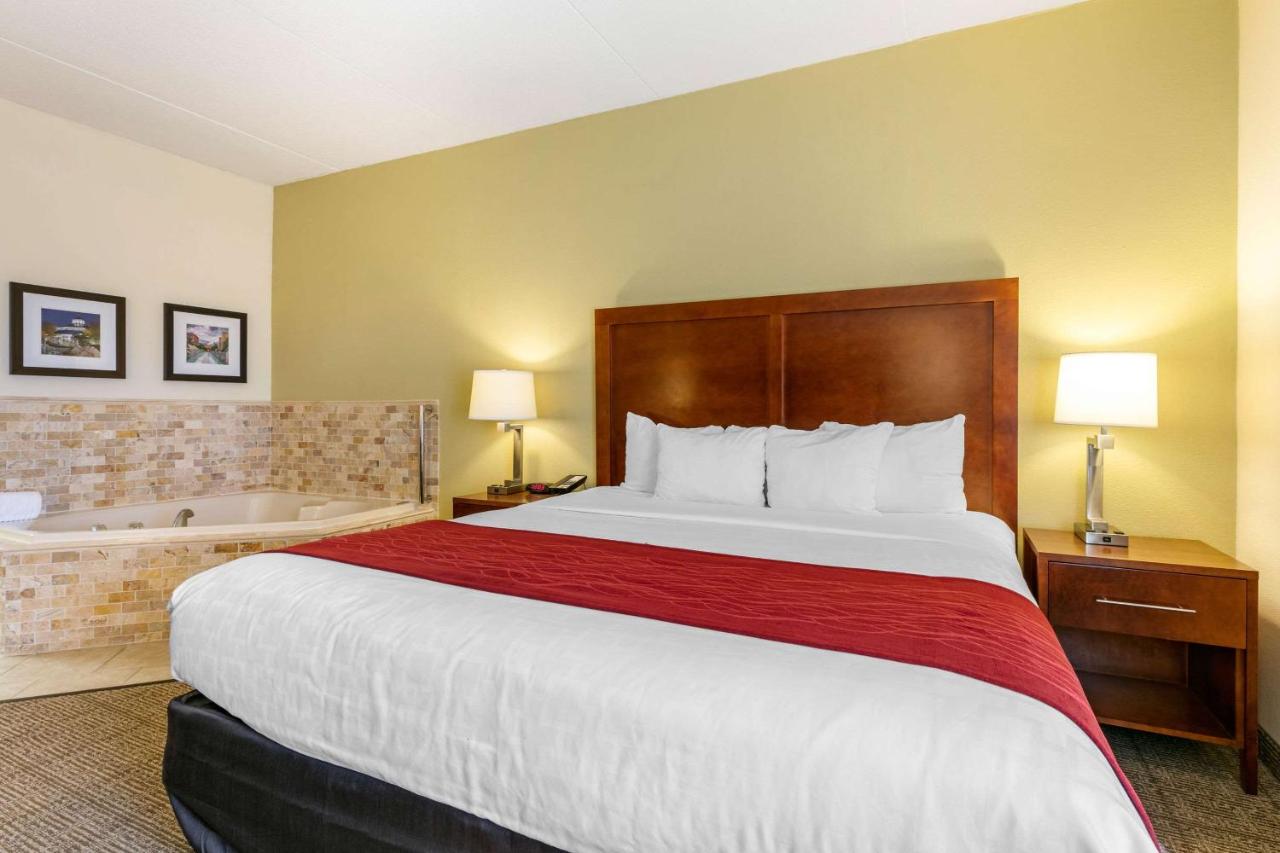 King Suite with Whirlpool - Non-Smoking at Comfort Inn Chattanooga Downtown Southside