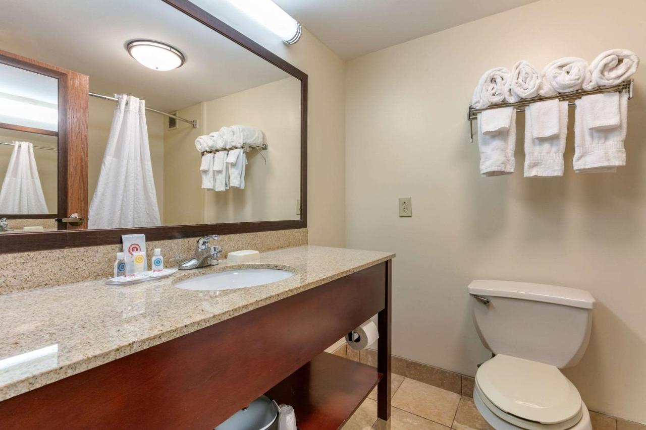 King Suite with Sofa Bed - Non-Smoking at Comfort Inn Chattanooga Downtown Southside