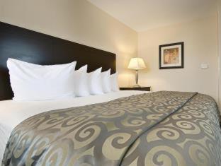 Room #4986218 at Best Western Plus Philadelphia Airport S. At Widener Univ.