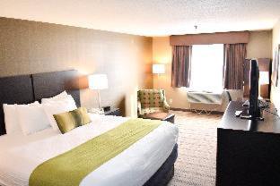 Room #7570726 at Best Western Providence Warwick Airport Inn