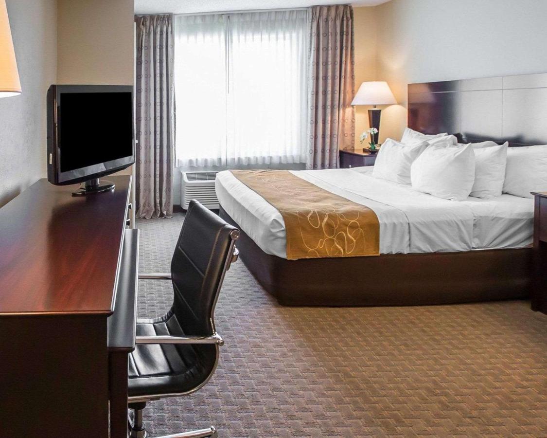 King Suite - Non-Smoking at Comfort Suites University Area Notre Dame - South Bend