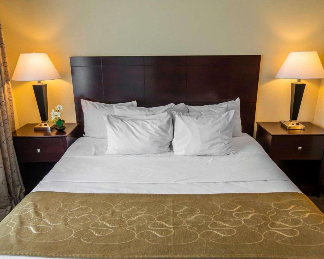 King Suite - Non-Smoking at Comfort Suites University Area Notre Dame - South Bend